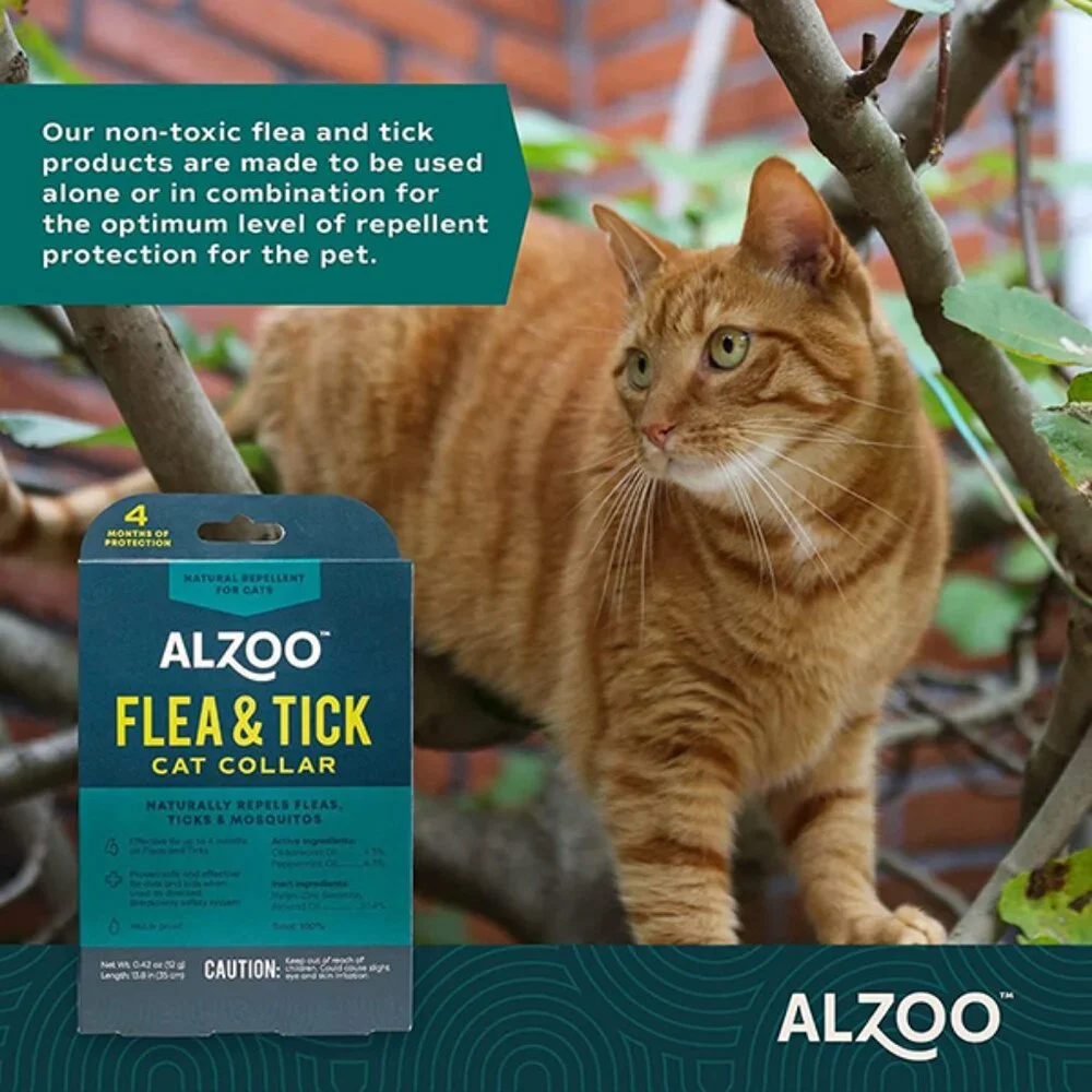 New Natural Flea and Tick Cat Collar with Plant-Based Ingredients 4-Month Use